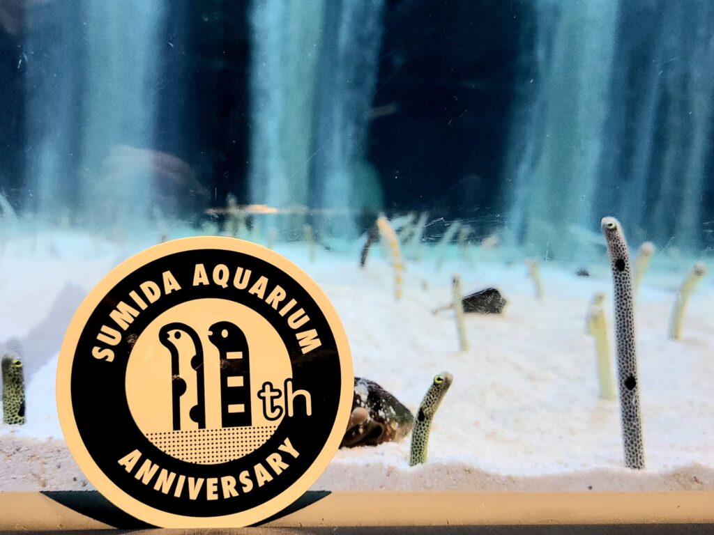 すみだ水族館11周年